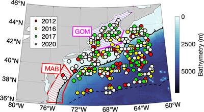 Influence and characteristics of anticyclonic eddies in active MHW years in the Northwest Atlantic